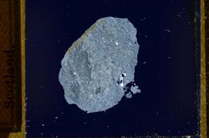 Cross Polarized, S21769