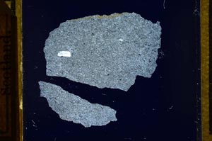 Cross Polarized, S21770