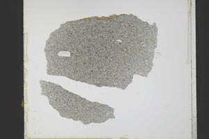 Plane Polarized, S21770