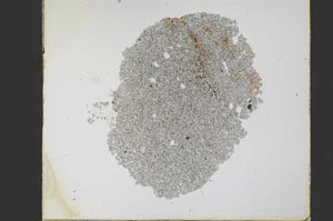 Plane Polarized, S21771