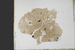 Plane Polarized, S21774