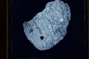 Cross Polarized, S21776