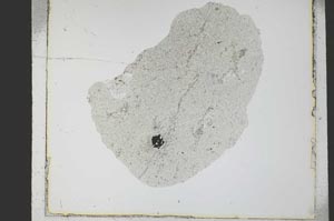 Plane Polarized, S21776