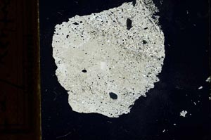 Cross Polarized, S21777