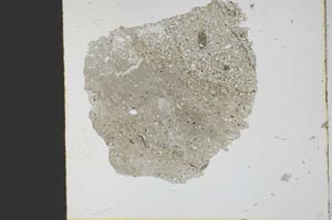 Plane Polarized, S21777