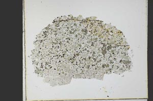 Plane Polarized, S21778