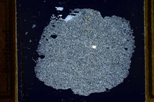 Cross Polarized, S21779