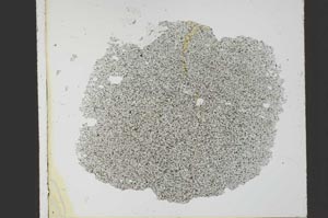 Plane Polarized, S21779