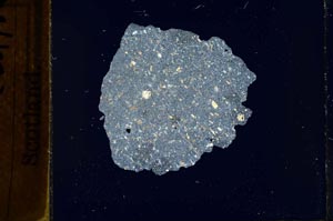Cross Polarized, S21781