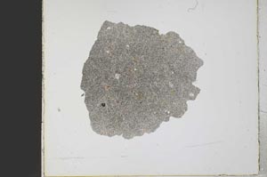 Plane Polarized, S21781