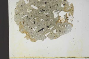 Plane Polarized, S21782