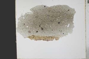 Plane Polarized, S21784