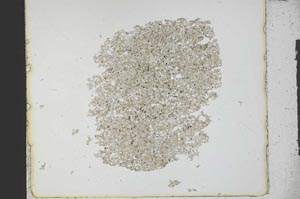 Plane Polarized, S21786