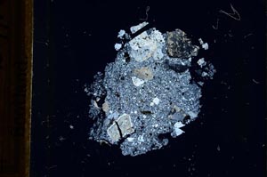 Cross Polarized, S21787