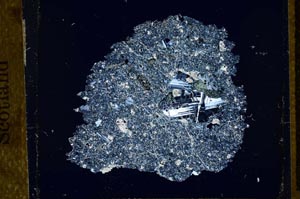 Cross Polarized, S21789