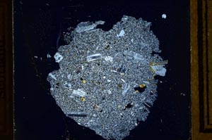 Cross Polarized, S21790