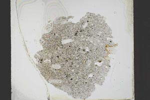 Plane Polarized, S21790