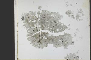 Plane Polarized, S21791