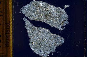 Cross Polarized, S21792