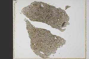 Plane Polarized, S21792