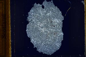 Cross Polarized, S21793