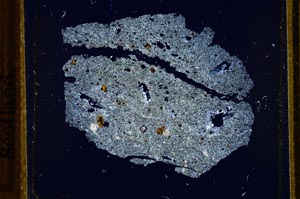 Cross Polarized, S21794