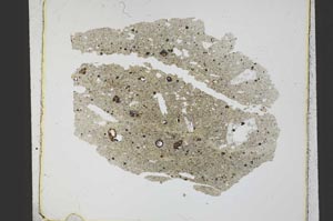 Plane Polarized, S21794