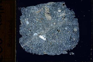 Cross Polarized, S21795