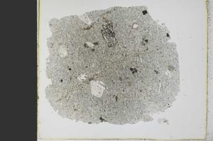 Plane Polarized, S21795