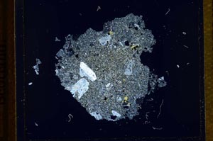 Cross Polarized, S21797