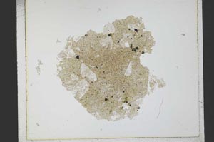 Plane Polarized, S21797