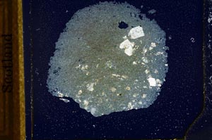 Cross Polarized, S21798