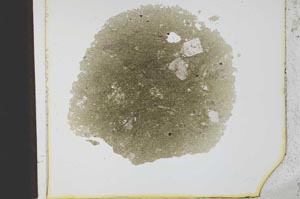 Plane Polarized, S21798