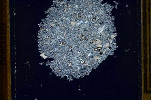 Cross Polarized, S21801