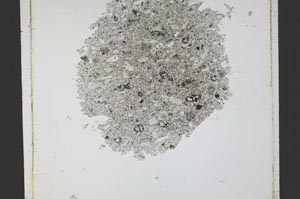 Plane Polarized, S21801