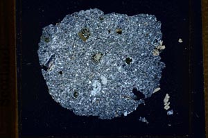 Cross Polarized, S21802