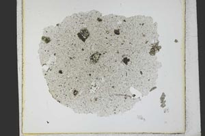 Plane Polarized, S21802