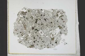 Plane Polarized, S21803