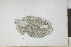 Plane Polarized, S21821