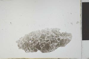 Plane Polarized, S21830