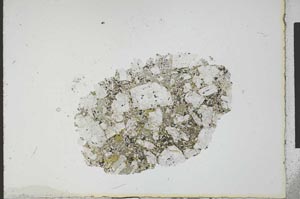 Plane Polarized, S21831