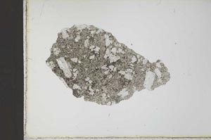 Plane Polarized, S21840