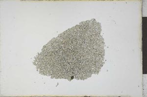 Plane Polarized, S21842
