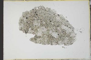 Plane Polarized, S21846