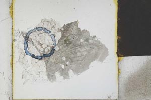 Plane Polarized, S21862