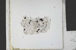 Plane Polarized, S21864