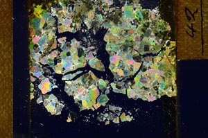 Cross Polarized, S21865