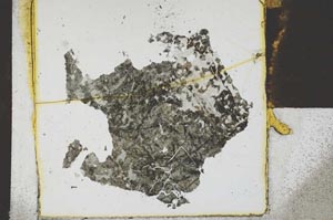 Plane Polarized, S21866