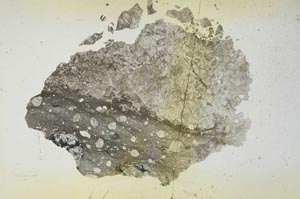 Plane Polarized, S21867