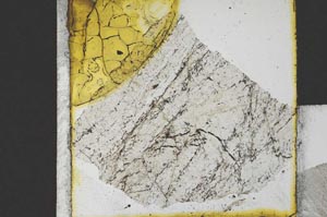 Plane Polarized, S21868